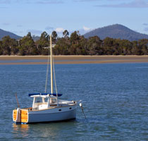 Rubicon Estuary, Tasmania