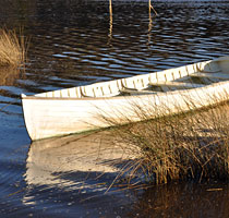 A restful evening along the Panatana Rivulet, Port Sorell, Tasmania