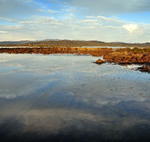 View from the Mary Creek footbridge, Port Sorell