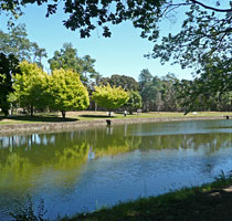 Bell's Parade, Latrobe, tasmania