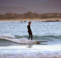 Surfing at Freer's Beach, Shearwater, Tasmania