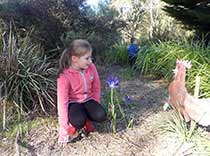 Kids playing in the garden